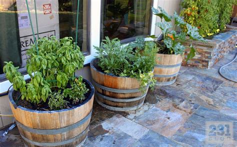 Wine Barrel Container Gardening Edible Front Yard Pinterest Barrel