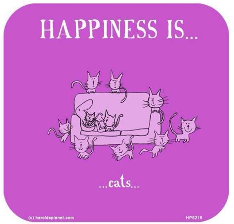 Pin By Jennifer Mcbeth On Cat Lover Quotes And Sayings Crazy Cats Cat