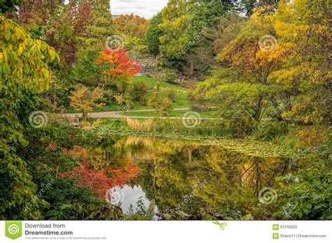 Beautiful Autumn Scenery Stock Image Image Of Calm