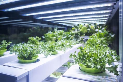 Grow lights are heavy and need to be well supported. TE Connectivity at LFI - The Next Generation of Solutions ...