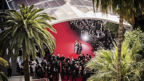 Cannes Wie Es Wirklich Auf Dem Filmfestival War Welt