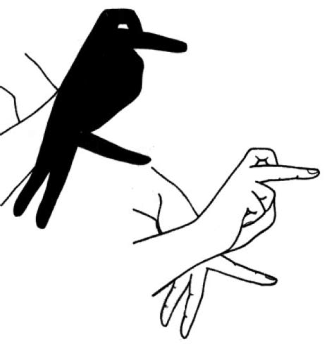 3 Cool Shadow Birds You Can Make With Your Hands
