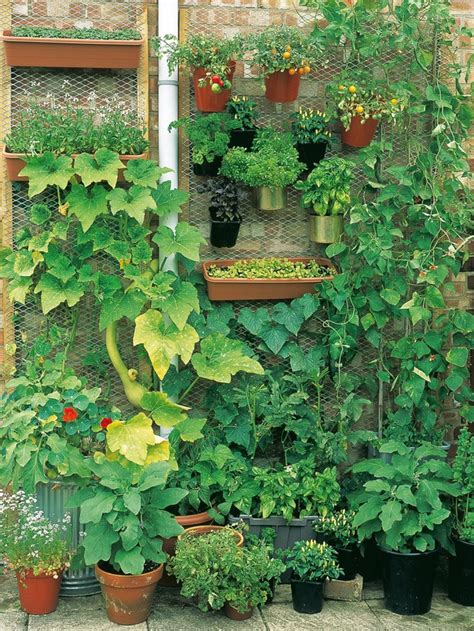 20 Vertical Vegetable Garden Ideas