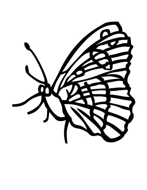 Butterfly Coloring Pages Everyreka