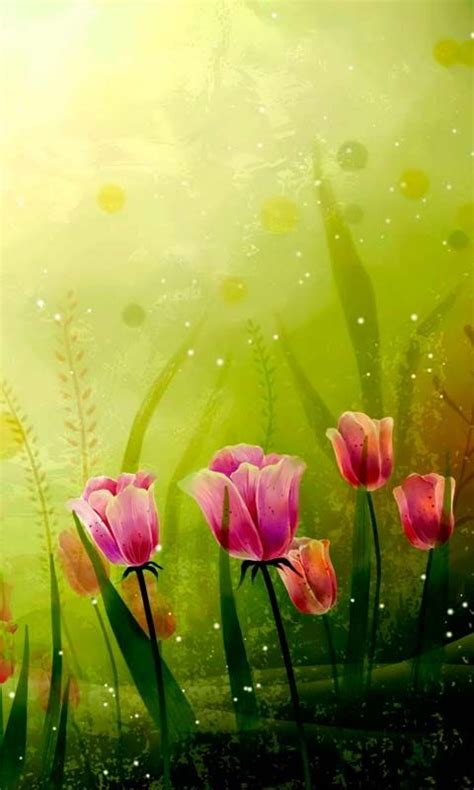 Download 480x800 Delicate Tulips Cell Phone Wallpaper Category