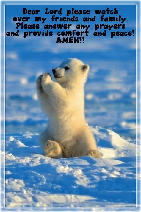 Sunday Prayer Baby Polar Bears Baby Animals Funny Cute Animals