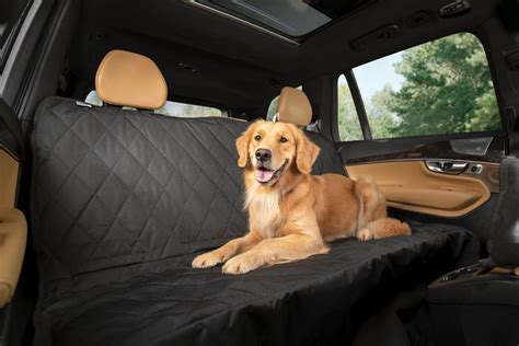 Best Dog Seat Covers In 2023 September Updated