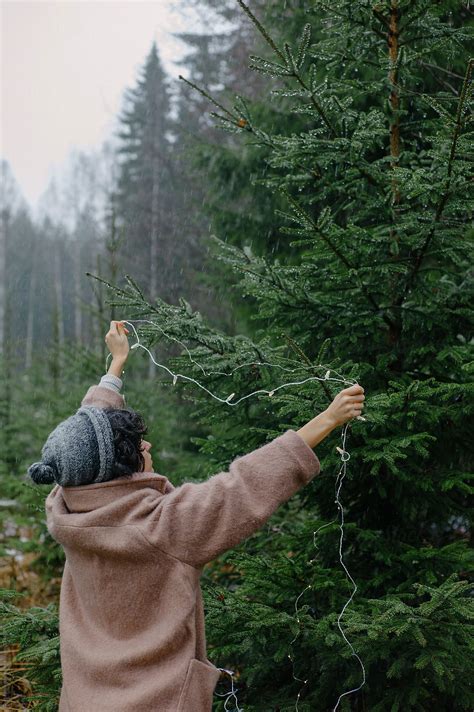 Woman Putting Garland On Fir Tree Del Colaborador De Stocksy Duet Postscriptum Stocksy