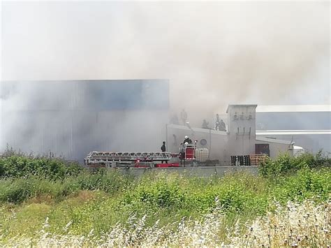 Alınan bilgiye göre, ilçeye bağlı sertavul yaylasındaki ormanlık alanda çıkan yangına, 3 arazöz, 1 su tankı ve 30 personelle. Mersin Tece'deki Narenciye Fabrikasında Yangın | Mersin Haber