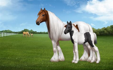Free HD Horse Backgrounds Desktop | PixelsTalk.Net