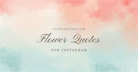Bloom With These 170 Beautiful Flower Quotes For Instagram Cute Caption