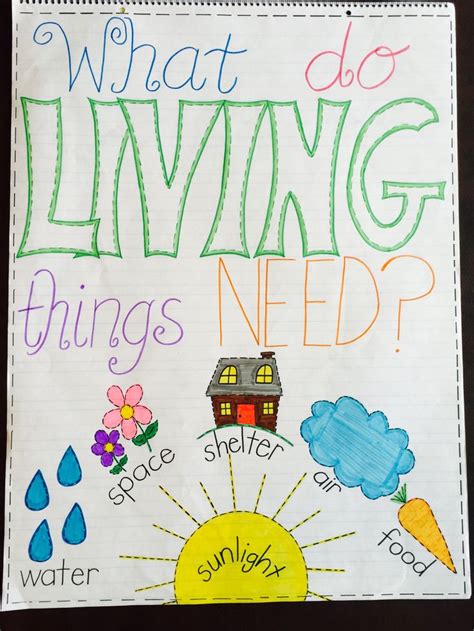 What Do Living Things Need Anchor Chart Kindergarten Anchor Charts