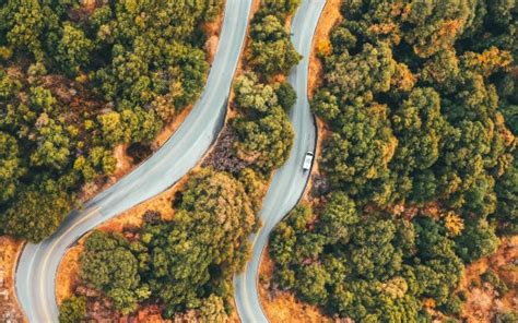 Aerial View Of Road Between Green Trees Covered Forest Hd Nature