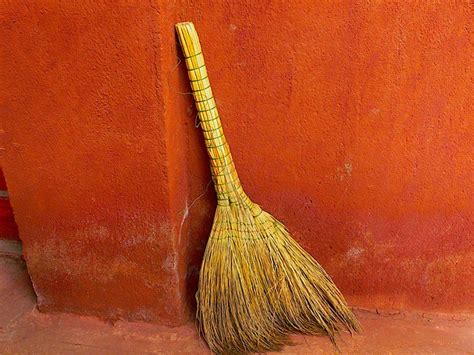 Chinese Broom Explore Sirsnapsalots Photos On Flickr Sir Flickr
