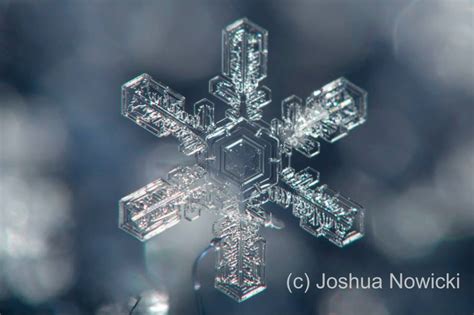 Snowflake On Earthsky Todays Image Earthsky