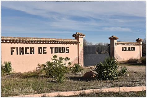 Check spelling or type a new query. Ganadería "Caras Blancas de Carpio" Estremera (Madrid ...
