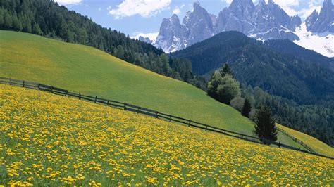 dolomite mountains  italy spring landscape meadow