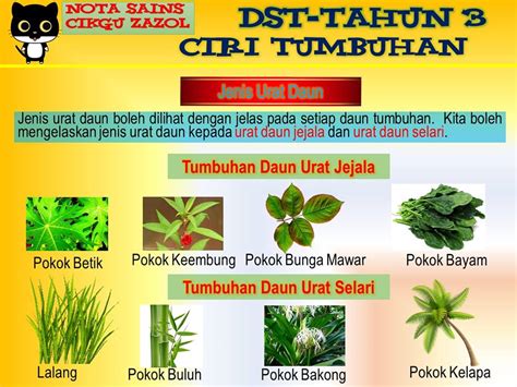 Kuiz sains tahun 3 set 1. Nota Dunia Sains Tahun 3 Ciri-ciri Tumbuhan - Cikgu Zazol