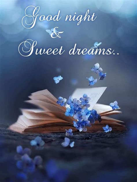 Goodnight 😴 Sleep Well. 🙏🕊 | Cute good night quotes, Beautiful good