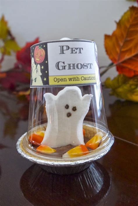 Cute Diy Pet Ghost Peep Pictures Photos And Images For Facebook