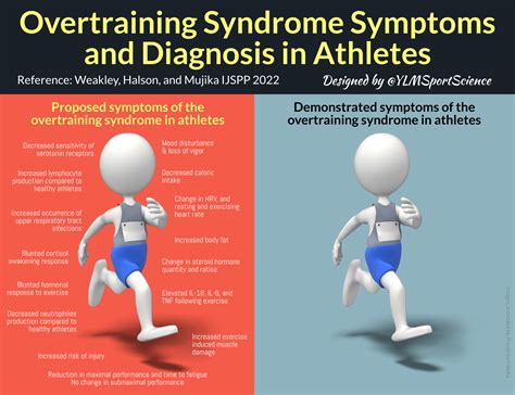 Training Ylmsportscience