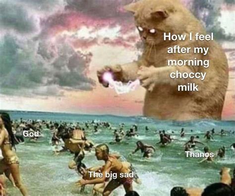 milk meme
