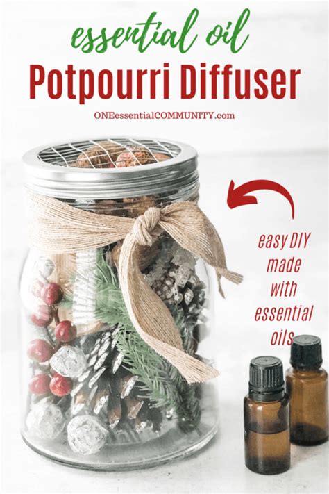 You don't have to pick one…try them all! Christmas Potpourri Diffuser (With images) | Essential ...