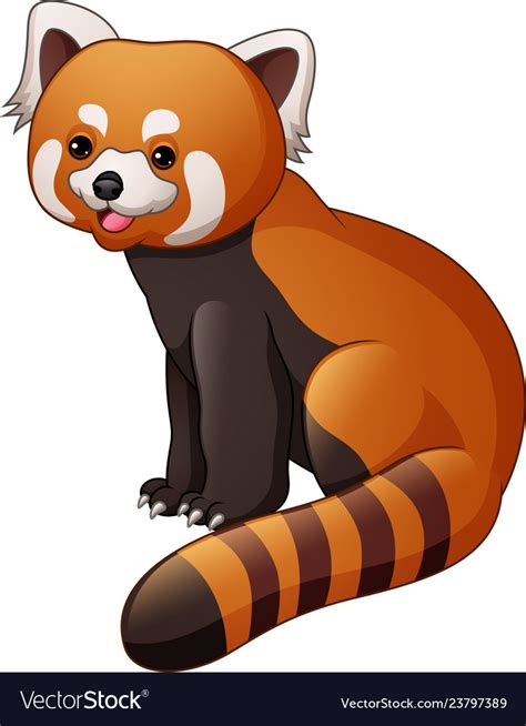 Cartoon Red Panda Isolated On White Background Vector Image