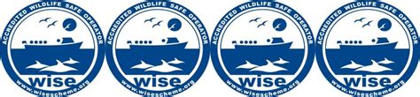 Wise Course Cornwall Seal Group Research Trust