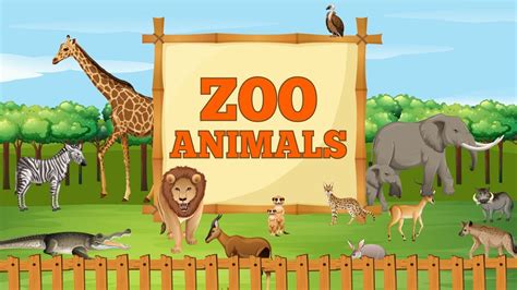 Zoo Animals for Kids - Educational Videos for Kids - YouTube
