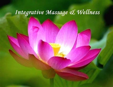 Integrative Massage And Wellness Forestville Ny