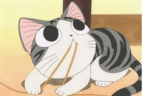 Top 10 Anime Cats What Are The Best Cats From Anime