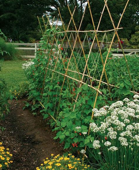 24 Easy Diy Garden Trellis Ideas And Plant Structures Puutarhaideat