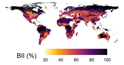 Biodiversity Intactness Index Data Natural History Museum