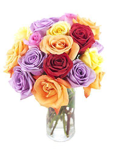 Bouquet Of Long Stemmed Rainbow Roses Deals Rainbow
