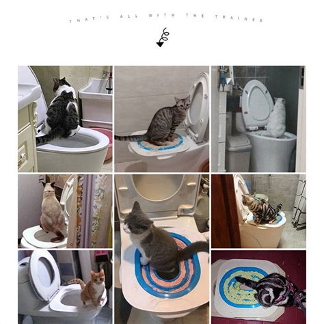 Cat Toilet Training System Professional Cat Toilet Training Kit My