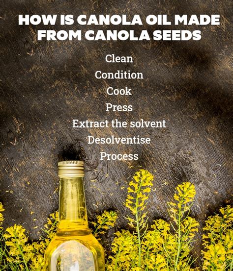 12 Canola Seeds Benefits For A Healthy Lifestyle Be Beautiful India