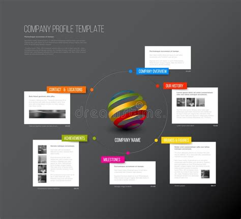 Vector Het Ontwerpmalplaatje Van Het Bedrijf Infographic Overzicht