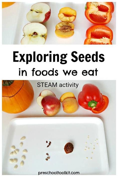 These fun literacy activities for preschoolers will help kids develop the skills to read and write on their own. Affordable Online Nutrition Degree #NutritionAnalysis ...