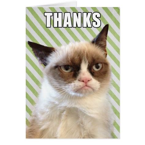 Grumpy Cat Thank You Card Zazzle