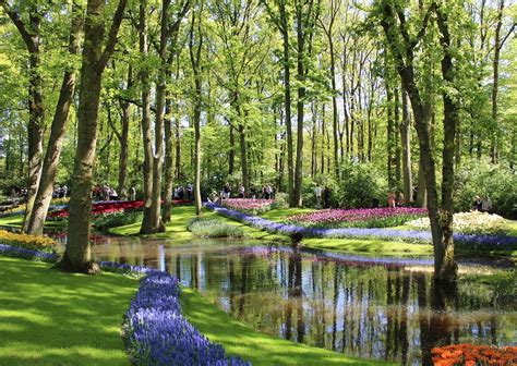 Keukenhof is the world's most beautiful spring flower garden. 2-of 3-daags Keukenhof arrangement in Zuid-Holland. Vier ...