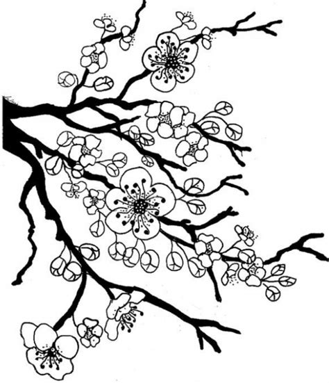 Lirik ku kehilangan cinta tiga dimensi lefthanded biar dari sudut manapun kau lihat diri ini walaupun dari atas. Mewarnai bunga sakura japan yang indah dan menawan