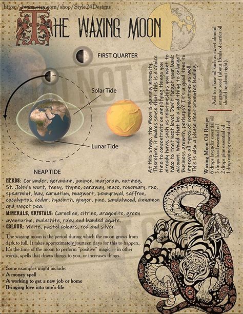 Book Of Shadows Printable Lunar Cycle Bos Sheets Moon Etsy Book Of Shadows Wiccan Spell