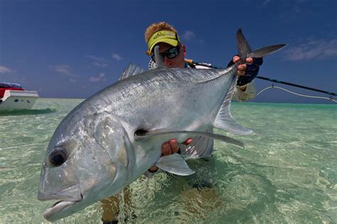 Tips To Catch Giant Trevally Fishing Blog Sportquest Holidays