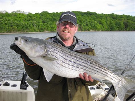 Spring Run Stripers On The Hudson River On The Water