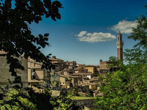 Alla Scoperta Delle Contrade Di Siena Experience Italy4golf