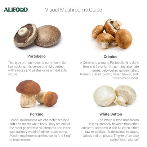 Italian Mushrooms A Visual Guide Of Edible Mushroomsitalian Feelings