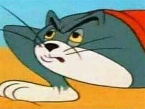 Tom And Jerry Funny Face Meme Tom And Jerry Funny Jerry Memes Tom