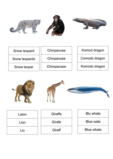View Animals Names 