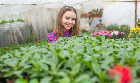 Happy Teen Girl Florist Planting Pot Plants In Greenhouse Selective
